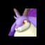 Caprity Noct icon