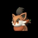 Pupperai icon